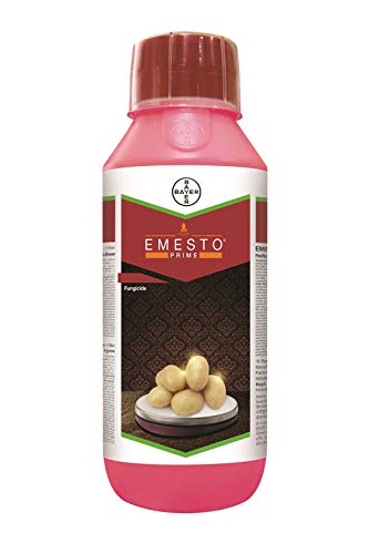 Emesto Prime