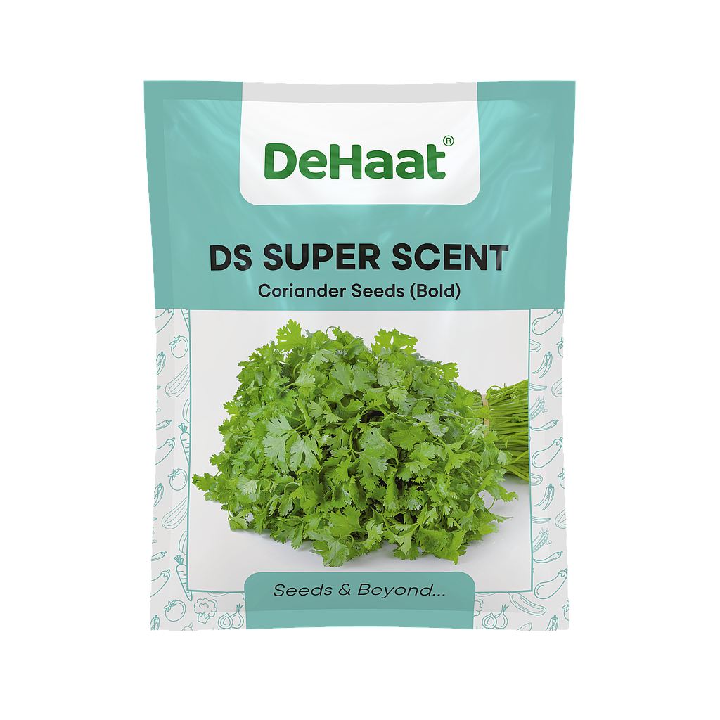 DS Super Scent DeHaat Coriander Seeds (Bold)